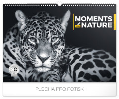 Stolní kalendář AUTA PRAKTIK